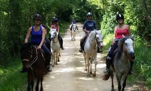 Formation et stages d’équitation : Devenez accompagnateur équestre avec La Bride du Cazal