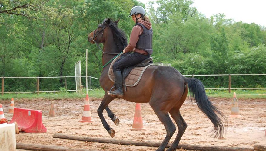 La Bride du Cazal, centre d’équitation à Bergerac
