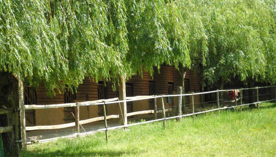 Camping équestre